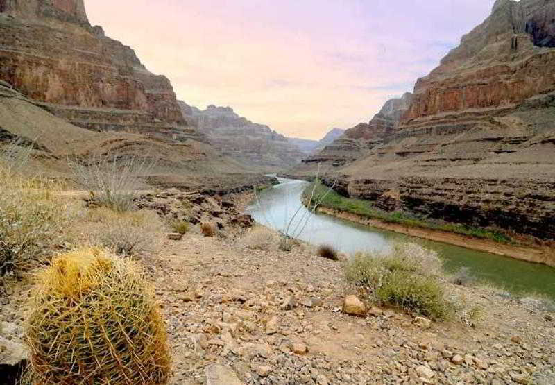 Fairfield By Marriott Inn & Suites Las Vegas Stadium Area Bagian luar foto
